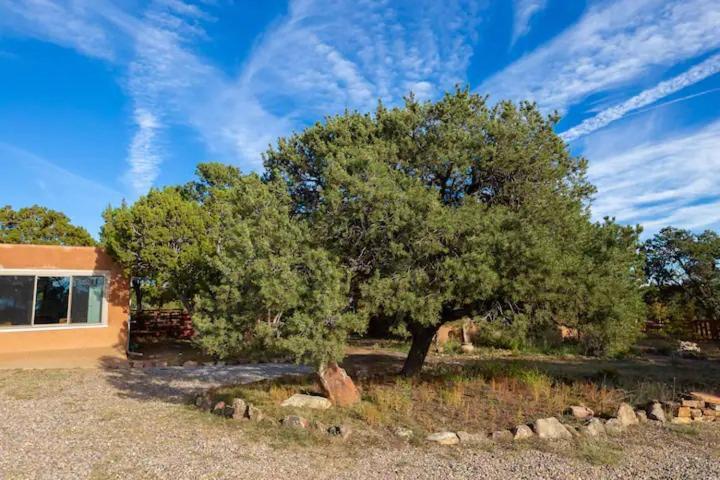 Bed and Breakfast Pet Friendly Pinon Heaven Canada de los Alamos Esterno foto