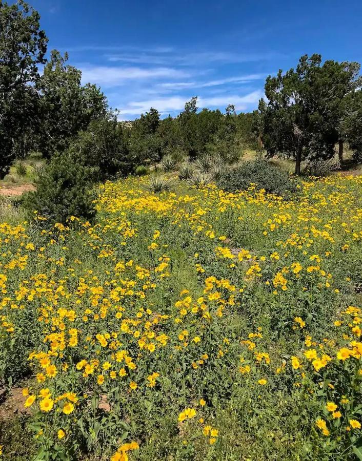 Bed and Breakfast Pet Friendly Pinon Heaven Canada de los Alamos Esterno foto